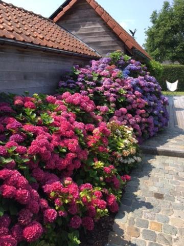 Flemish Cottage Oostkamp Exterior foto